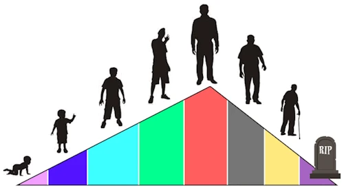 mental age path
