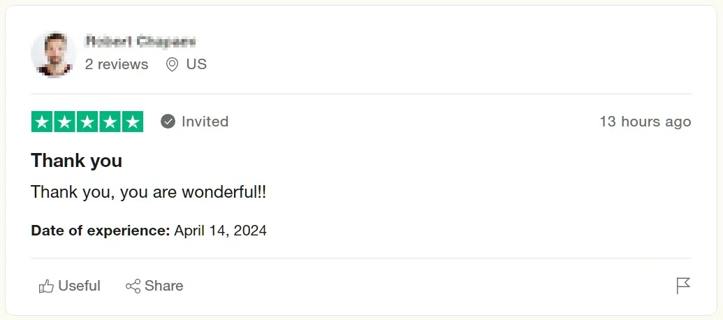 trustpilot fake positive pointless review 3
