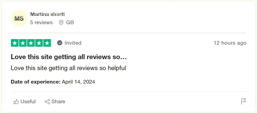 trustpilot fake positive pointless review 1