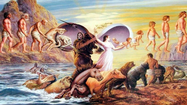reincarnation and karma
