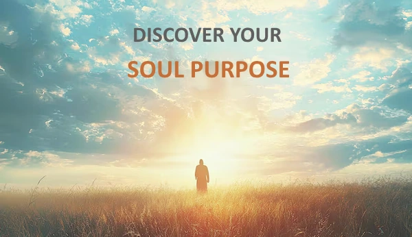 find your soul purpose