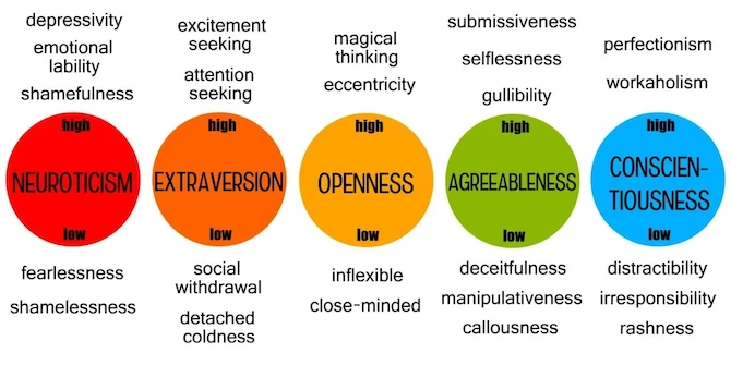 Big 5 personality model