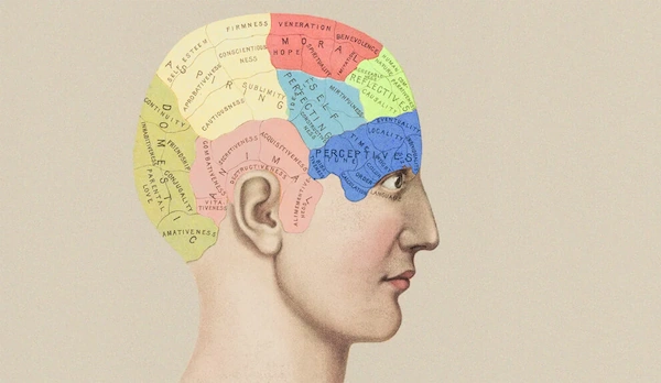 phrenology